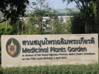 Ogród botaniczny w Tajlandii / Botanical garden in Thailand